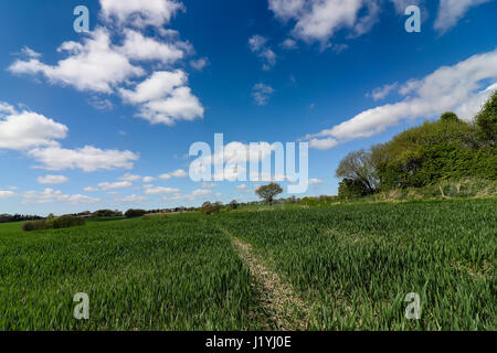 Ashton in Makerfield paesaggi aprile 2017, mostra varie spazio aperto,i campi e il cielo in un giorno di sole Foto Stock