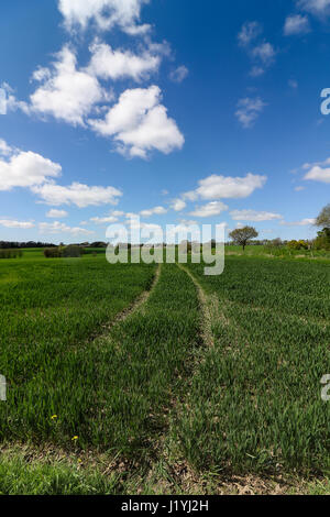 Ashton in Makerfield paesaggi aprile 2017, mostra varie spazio aperto,i campi e il cielo in un giorno di sole Foto Stock