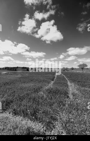 Ashton in Makerfield paesaggi aprile 2017, mostra varie spazio aperto,i campi e il cielo in un giorno di sole Foto Stock