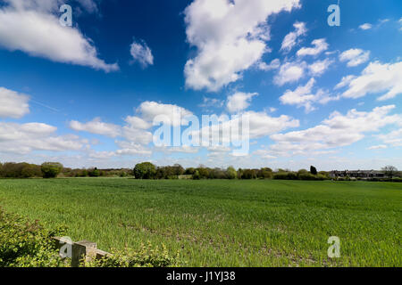 Ashton in Makerfield paesaggi aprile 2017, mostra varie spazio aperto,i campi e il cielo in un giorno di sole Foto Stock