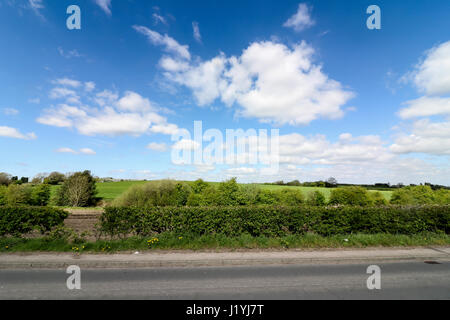 Ashton in Makerfield paesaggi aprile 2017, mostra varie spazio aperto,i campi e il cielo in un giorno di sole Foto Stock