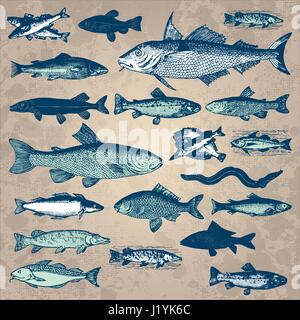 Insieme di antiche incisioni di pesce (vector) Illustrazione Vettoriale