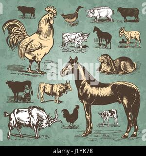 Set di animali da allevamento incisioni antiche (vector) Illustrazione Vettoriale