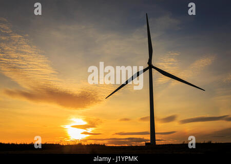 Eaglesham, Scotland, Regno Unito. Il 22 aprile, 2017. Dopo una soleggiata domenica di primavera vi è un glorioso tramonto sul Whitelee wind farm, la più grande fattoria eolica in Scozia, a Eaglesham Moor vicino a Glasgow, UK Credit: Findlay/Alamy Live News Foto Stock