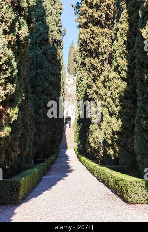 VERONA, Italia - 27 Marzo 2017 - vicolo in Giardino Giusti nella città di Verona in primavera. Il Giardino Giusti è il giardino italiano rinascimentale , è stato piantato Foto Stock