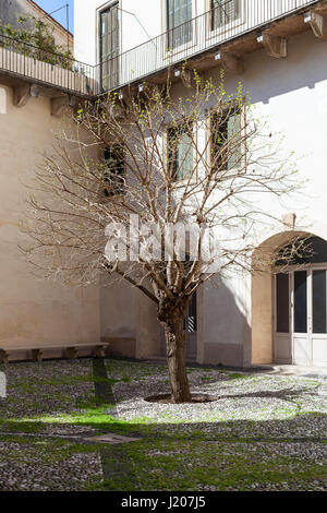 VICENZA, Italia - 28 Marzo 2017: patio del Palladio Museum (Museo Palladio - Palazzo Barbaran da Porto) a Vicenza. Il palazzo è stato progettato nel 1569 e Foto Stock