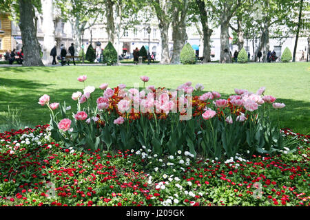 Zagabria,parco Zrinjevac,floreale con tulipani,croazia,l'Europa Foto Stock