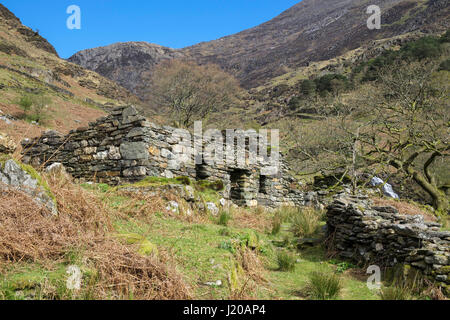 Abbandonati vuoti vecchi edifici agricoli accanto al percorso Watkin in Cwm Llan. Hafod y Llan Bethania Gwynedd Snowdonia National Park North Wales UK Gran Bretagna Foto Stock
