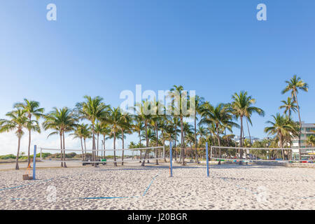 Campi da pallavolo e palme in Miami Beach. Florida, Stati Uniti Foto Stock
