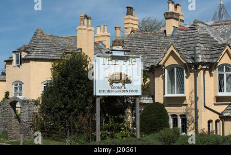 Il maiale sulla spiaggia Hotel, Studland Foto Stock