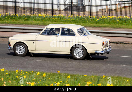 Una crema colorata 1968-69 vintage G registrazione 121 Volvo Amazon berlina automobile che viaggia lungo il Kingsway West a doppia carreggiata a Dundee, Regno Unito Foto Stock