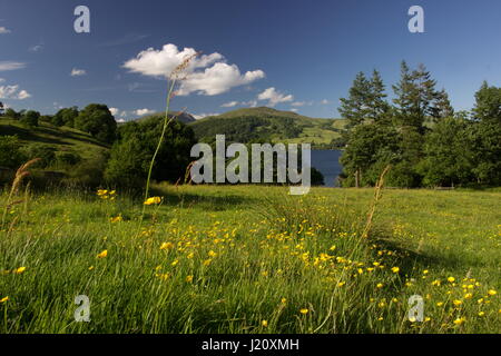 Vista sul lago di Windermere da Claife CP area Lake District Cumbria Inghilterra England Foto Stock