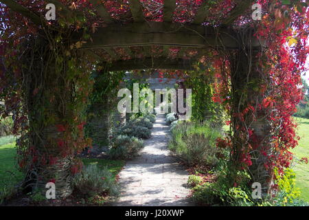 Pergola Hestercombe Gardens Cheddon Fitzpaine Taunton Somerset Foto Stock