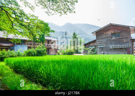 Storico villaggio giapponese Shirakawago in stagione primavera Foto Stock