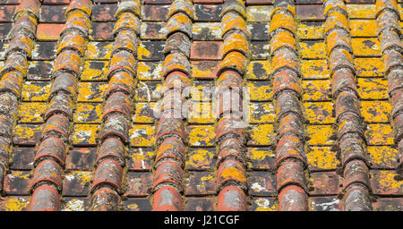 Dettaglio immagine di un antica terracotta tetto di tegole a Bath, Inghilterra, Regno Unito Foto Stock