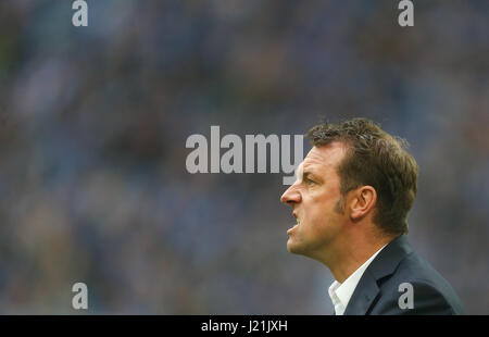 Gelsenkirchen (Germania). 23 apr, 2017. dpatop - Schalke allenatore Markus Weinzierl reagisce durante la Bundesliga soccer match tra FC Schalke 04 e RB Leipzig alla Veltins Arena di Gelsenkirchen, Germania, 23 aprile 2017. (EMBARGO CONDIZIONI - ATTENZIONE: grazie all'accreditamento guidlines, il DFL consente solo la pubblicazione e utilizzazione di fino a 15 immagini per corrispondenza su internet e nei contenuti multimediali in linea durante la partita.) Foto: Ina Fassbender/dpa/Alamy Live News Foto Stock