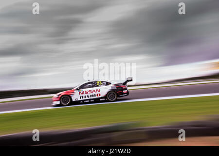 Melbourne, Australia. 23 apr, 2017. MELBOURNE, Australia - 23 aprile: Michael Caruso 23 guida per Nissan Motorsport durante il 2017 WD-40 Phillip Island 500, Australia il 23 aprile 2017. Foto: Dave Hewison Credito: Dave Hewison sport/Alamy Live News Foto Stock