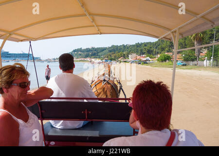 Katakolon (Katakolò) allenatore di cavalli corsa sulla spiaggia sabbiosa (costa greca) Foto Stock