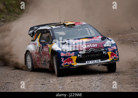 Citroen auto da rally - Campionato del Mondo Rally del Galles Foto Stock