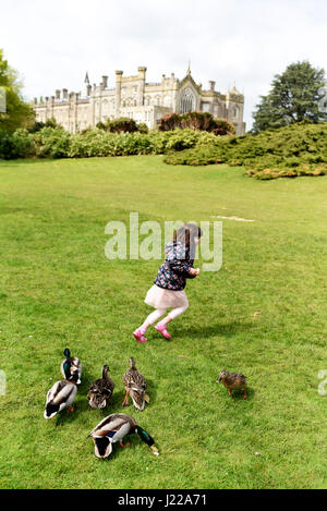 A caccia di anatre, ragazza di campagna inglese, Sheffield Park, East Sussex, Inghilterra Foto Stock