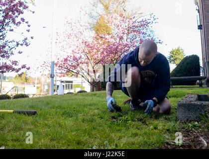 170421-N-VH385-008 BREMERTON, nello Stato di Washington (21 aprile 2017) - Elettronica tecnico di terza classe Ryan Beagle, da Wayland, Michigan, assegnato alla Base Navale Kitsap-Bremerton, partecipa a un giorno di terra la pulitura. Il dipartimento della marina hanno aderito alla nazione nella celebrazione del 47th annuale Giornata della Terra, con il tema di questo anno è "costruire la forza attraverso la gestione amministrativa'. (U.S. Foto di Marina di Massa lo specialista di comunicazione di terza classe Wyatt L. Anthony) Foto Stock