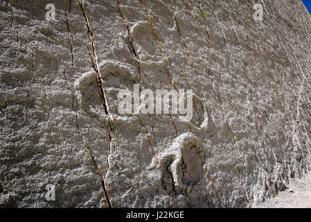 Tracce di dinosauri su Cal Orcko parete - Sucre, Bolivia Foto Stock