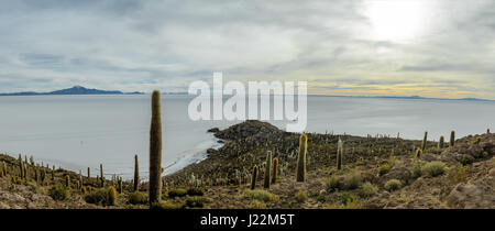 Vista panoramica di Incahuasi Cactus isola nel Salar de Uyuni distesa di sale - dipartimento di Potosi, Bolivia Foto Stock