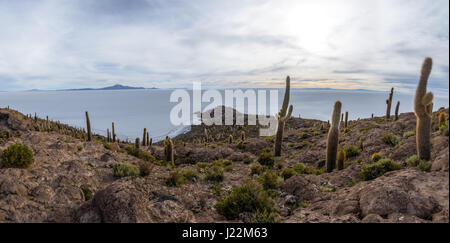 Vista panoramica di Incahuasi Cactus isola nel Salar de Uyuni distesa di sale - dipartimento di Potosi, Bolivia Foto Stock