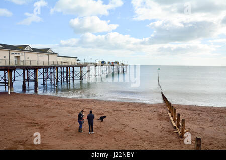 Un cane pooing sulla spiaggia accanto a Teignmouth Grand Pier una popolare attrazione turistica in Teignmouth Devon England - il molo vittoriano è stato costruito nel 186 Foto Stock