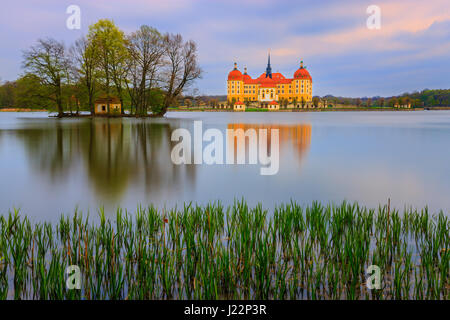 Castello di Moritzburg (tedesco: Schloss Moritzburg) o Palazzo Moritzburg è un palazzo barocco di Moritzburg, dello stato tedesco della Sassonia, circa 13 kilomet Foto Stock