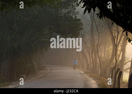 Sunray brilla sul percorso rurale durante l inverno mattina in Jessore, Bangladesh. Foto Stock