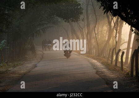 Sunray brilla sul percorso rurale durante l inverno mattina in Jessore, Bangladesh. Foto Stock