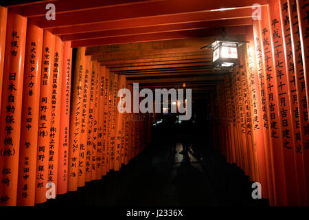 Vista notturna al tunnel di torii gate a Fushimi Inari santuario a Kyoto, Giappone Foto Stock