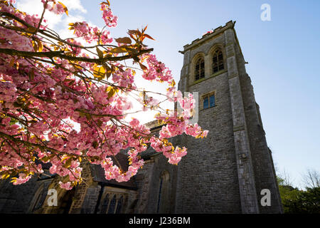 St John's C.E. Chiesa in primavera, Silverdale, Lancashire, Inghilterra, Regno Unito Foto Stock