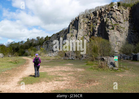 Cava Trowbarrow Riserva Naturale Silverdale Lancashire England Regno Unito Foto Stock