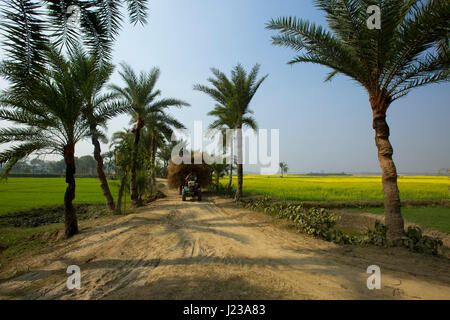 Un trattore porta un fascio di fieno attraverso il percorso di sporcizia in Jessore, Bangladesh. Foto Stock