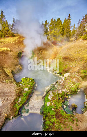 Primavera calda nel Parco Nazionale di Yellowstone, Wyoming negli Stati Uniti. Foto Stock