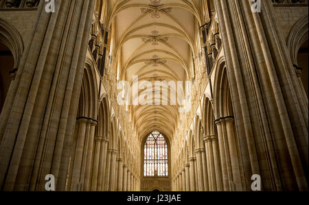 Beverley Minster, Beverley, East Yorkshire, Regno Unito Foto Stock