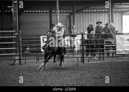 Salado, Texas, Stati Uniti d'America. Cowboy riprese montate caso Texas. Donna rider durante il concorso. Foto Stock