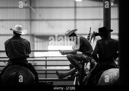 Salado, Texas, Stati Uniti d'America. Cowboy riprese montate caso Texas. Silhouette di piloti prima della concorrenza. Foto Stock