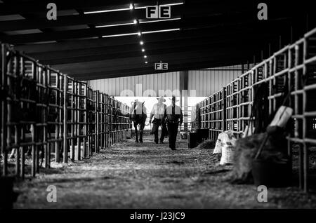 Salado, Texas, Stati Uniti d'America. Cowboy riprese montate caso Texas. Silhouette di piloti prima della concorrenza durante il warmup. Foto Stock