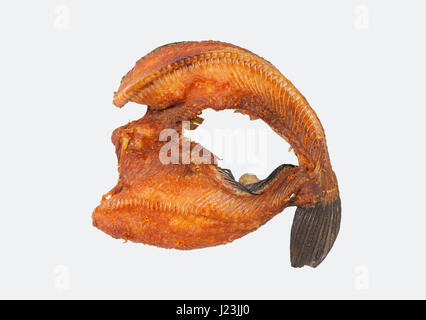 Frittura di sole asciugato Striped Snakehead Fish, isolato Foto Stock