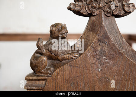 Banco di Pew fine sculture medievali, Thurgaton Chiesa, Norfolk Foto Stock