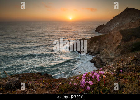 Fiori sulle montagne rocciose con splendido tramonto sul mare sullo sfondo Foto Stock