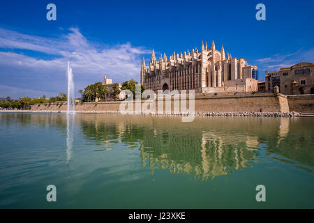 La cattedrale di santa Maria, la seu, mirroring è in una piscina di acqua Foto Stock