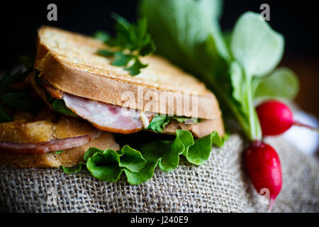 Fritte sandwich caldi con salsiccia e foglie di insalata Foto Stock