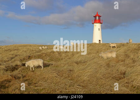 Elenco lighthouse west, Ellenbogen, Sylt, Frisia settentrionale, Schleswig-Holstein, Germania, Europa Foto Stock