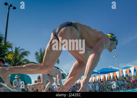 Nuotatori ai blocchi di partenza al 2017 Orange Bowl Classic Swim Meet. Foto Stock