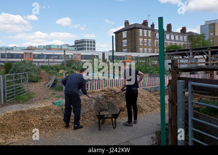 I volontari che operano presso la città di Spitalfields Fattoria nella zona est di Londra,l'Inghilterra,UK Foto Stock