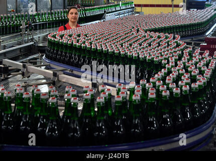 Freyburg, Germania. 24 apr, 2017. Un lavoratore controlla le bottiglie di spumante, un tipo di vino spumante popolare in Germania, durante il processo di imbottigliamento in fabbrica Rotkaeppchen-Mumm in Freyburg, Germania, 24 aprile 2017. La società presenterà la sua relazione finanziaria annuale il 25 aprile. Foto: Hendrik Schmidt/dpa-Zentralbild/dpa/Alamy Live News Foto Stock